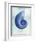 Nautilus Shell B-GI ArtLab-Framed Giclee Print