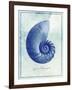 Nautilus Shell B-GI ArtLab-Framed Giclee Print