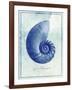 Nautilus Shell B-GI ArtLab-Framed Giclee Print