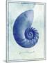 Nautilus Shell B-GI ArtLab-Mounted Giclee Print