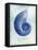 Nautilus Shell B-GI ArtLab-Framed Stretched Canvas