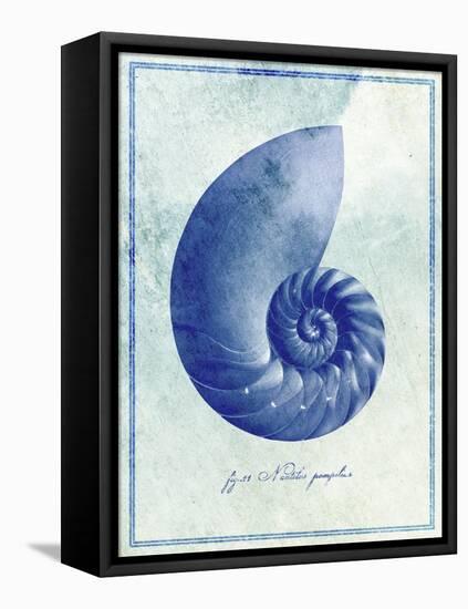 Nautilus Shell B-GI ArtLab-Framed Stretched Canvas