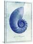 Nautilus Shell B-GI ArtLab-Stretched Canvas