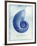 Nautilus Shell B-GI ArtLab-Framed Giclee Print