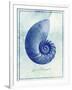 Nautilus Shell B-GI ArtLab-Framed Giclee Print