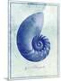 Nautilus Shell B-GI ArtLab-Mounted Giclee Print