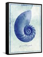 Nautilus Shell B-GI ArtLab-Framed Stretched Canvas