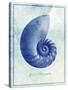 Nautilus Shell B-GI ArtLab-Stretched Canvas