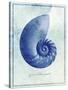 Nautilus Shell B-GI ArtLab-Stretched Canvas