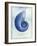 Nautilus Shell B-GI ArtLab-Framed Giclee Print