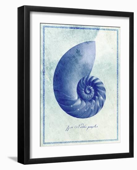 Nautilus Shell B-GI ArtLab-Framed Giclee Print