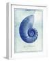 Nautilus Shell B-GI ArtLab-Framed Giclee Print