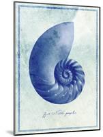 Nautilus Shell B-GI ArtLab-Mounted Giclee Print