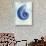 Nautilus Shell B-GI ArtLab-Giclee Print displayed on a wall