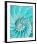 Nautilus Shell II-null-Framed Art Print