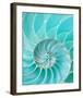 Nautilus Shell II-null-Framed Art Print