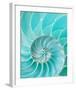 Nautilus Shell II-null-Framed Art Print