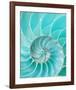 Nautilus Shell II-null-Framed Art Print