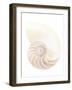 Nautilus Shell-Gavin Kingcome-Framed Photographic Print