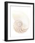 Nautilus Shell-Gavin Kingcome-Framed Photographic Print