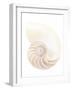 Nautilus Shell-Gavin Kingcome-Framed Photographic Print