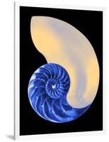 Nautilus Shell-Babar760-Framed Art Print