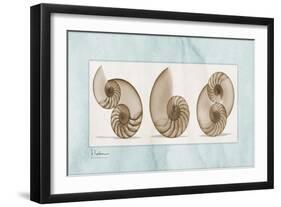 Nautilus Trio-Albert Koetsier-Framed Art Print