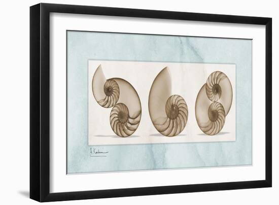 Nautilus Trio-Albert Koetsier-Framed Art Print