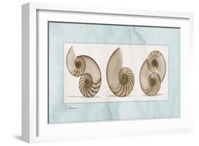 Nautilus Trio-Albert Koetsier-Framed Art Print