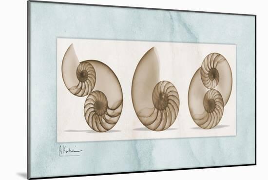 Nautilus Trio-Albert Koetsier-Mounted Art Print
