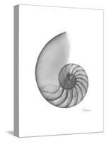 Nautilus Xray-Albert Koetsier-Stretched Canvas