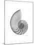 Nautilus Xray-Albert Koetsier-Mounted Premium Giclee Print