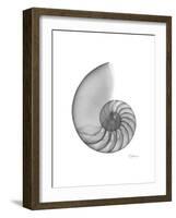 Nautilus Xray-Albert Koetsier-Framed Premium Giclee Print