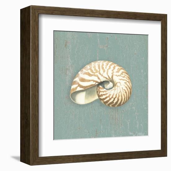 Nautilus-Lisa Danielle-Framed Art Print