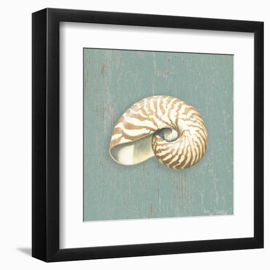 Nautilus-Lisa Danielle-Framed Art Print