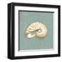 Nautilus-Lisa Danielle-Framed Art Print