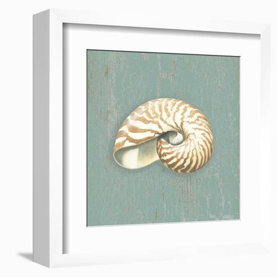 Nautilus-Lisa Danielle-Framed Art Print