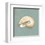 Nautilus-Lisa Danielle-Framed Art Print