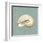 Nautilus-Lisa Danielle-Framed Giclee Print