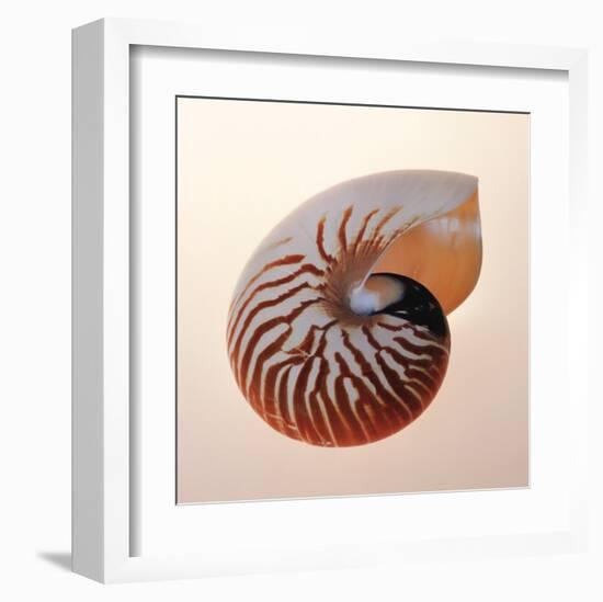 Nautilus-Tom Artin-Framed Art Print