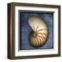 Nautilus-John Golden-Framed Giclee Print