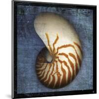 Nautilus-John Golden-Mounted Giclee Print