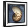 Nautilus-John Golden-Framed Giclee Print