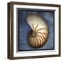 Nautilus-John Golden-Framed Giclee Print