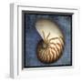 Nautilus-John Golden-Framed Giclee Print