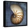 Nautilus-John Golden-Stretched Canvas