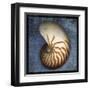 Nautilus-John Golden-Framed Art Print