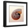 Nautilus-Tom Artin-Framed Art Print