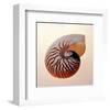 Nautilus-Tom Artin-Framed Art Print