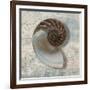 Nautilus-Ted Broome-Framed Art Print